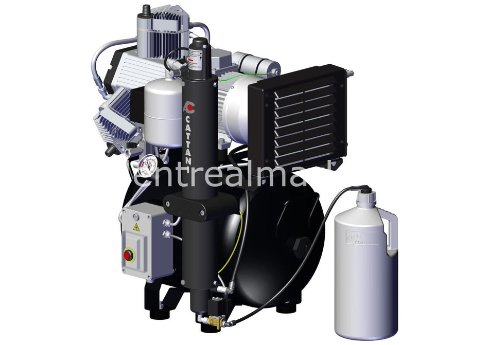 Cattani AC 200 Dryer Compressor — 2-Cylinder