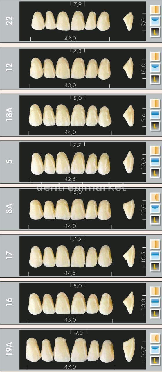 Major Dent New Acrylic Teeth 28-Piece Set