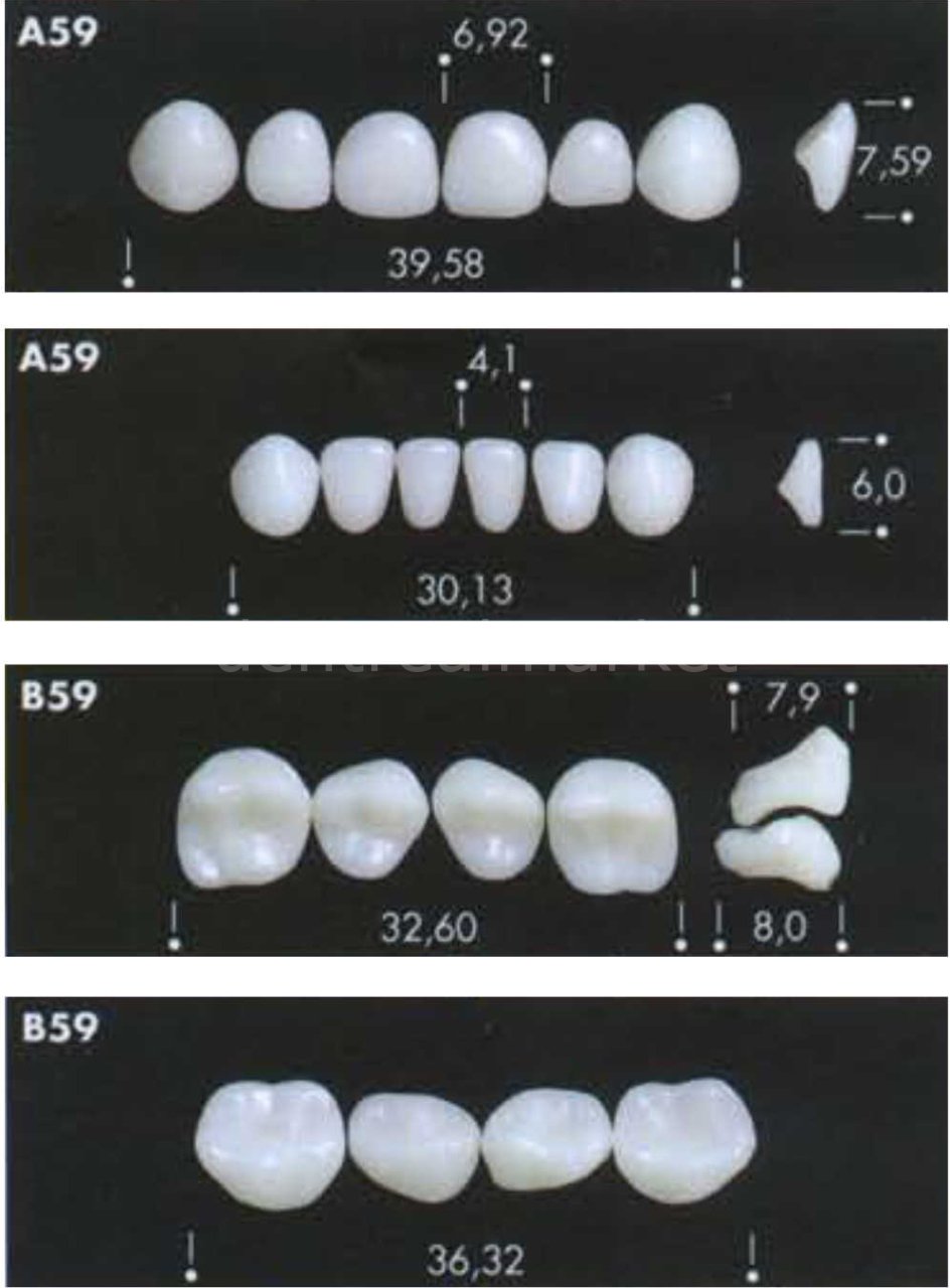 Major Bambino Acrylic Teeth for Children