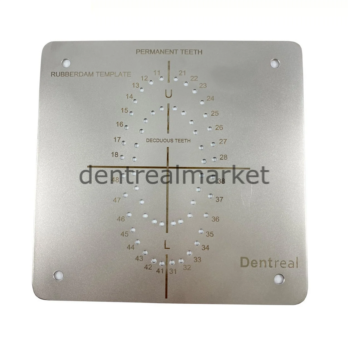 New Dent Stainless Steel Rubber Dam Template