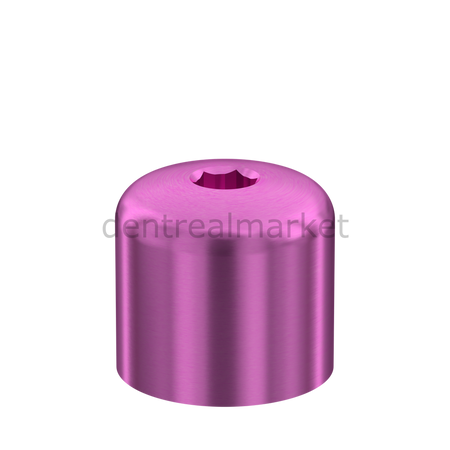 D-TYPE Healing Cap Internal Hex Özel Baglantı Parçası