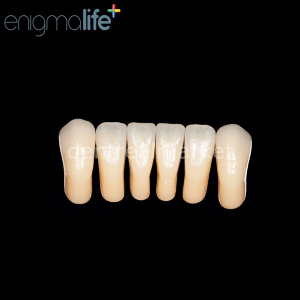 Schottlander Enigmalife+ Nano Hybrid Composite Lower Anterior Teeth 6-pack