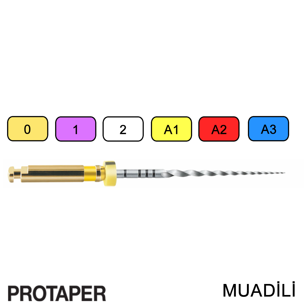 New Dent G6 NiTi Rotary File — Protaper Compatible