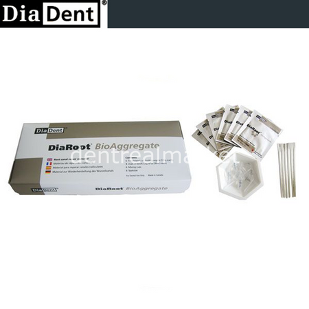 Diadent DiaRoot BioAggregate 1 g Permanent Root Canal Repair Material