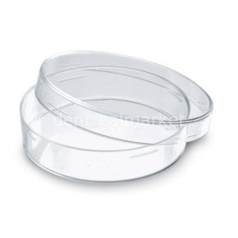 Ocean Covered Petri Dish