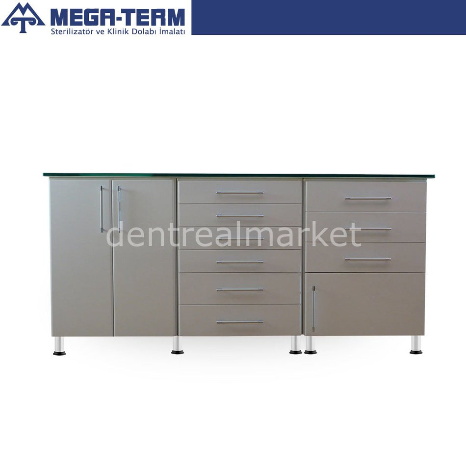 Mega-Term Clinic Cabinet Module 0105