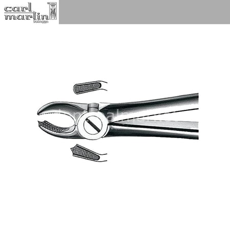Carl Martin Upper Left Molar Forceps No. E18