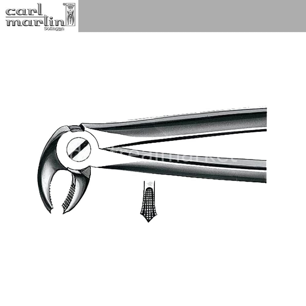 Carl Martin Lower Molar Forceps No. E22