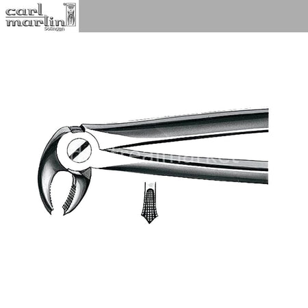 Carl Martin Forceps Lower Premolar — No. E13