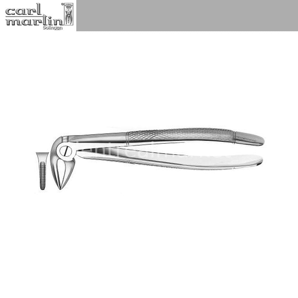 Carl Martin Lower Root Forceps No. 33
