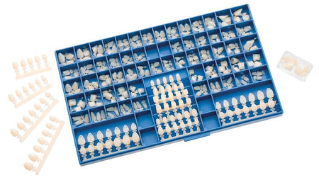 Tdv Dental Temporary Polycarbonate Crowns Pack of 180