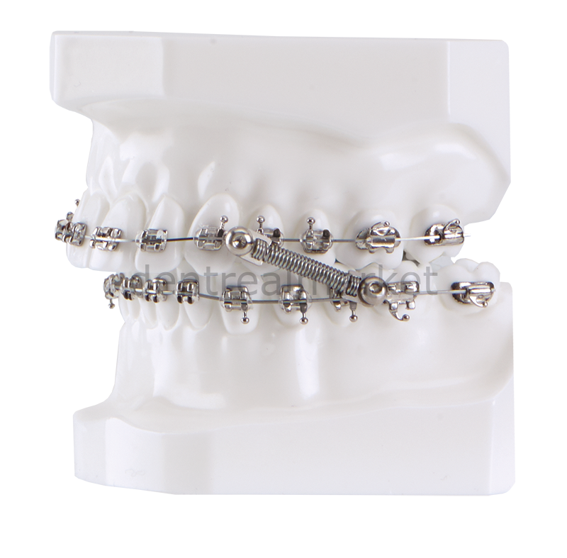 Dynaflex CS-2000 10 Patient Kit