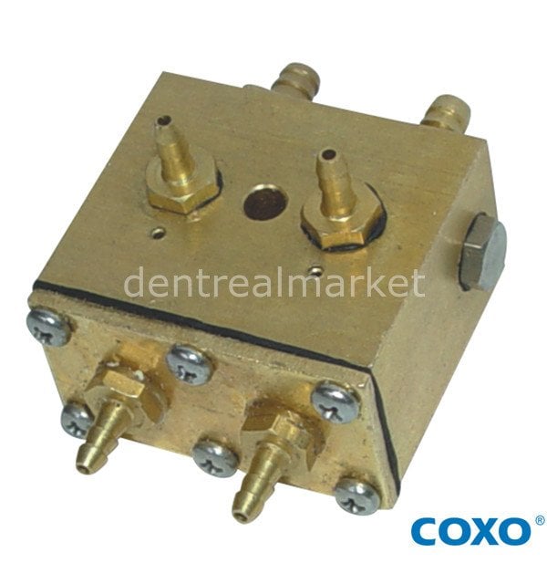 Coxo 2-in-1 Air Switch Dual Pneumatic Valve