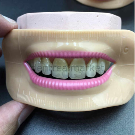 New Dent Lip Model Set — 3 pcs