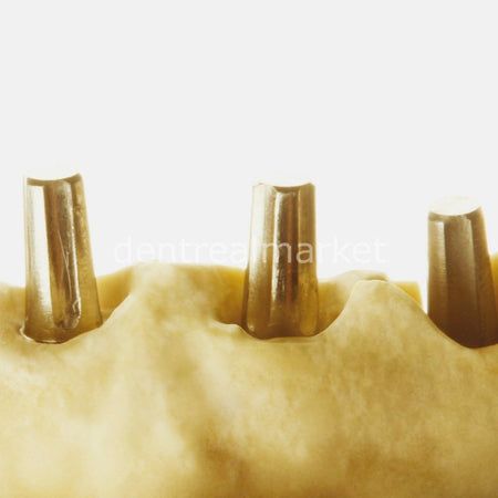 Zhermack Elite Master Extra-Hard Plaster for Implants - 3 kg