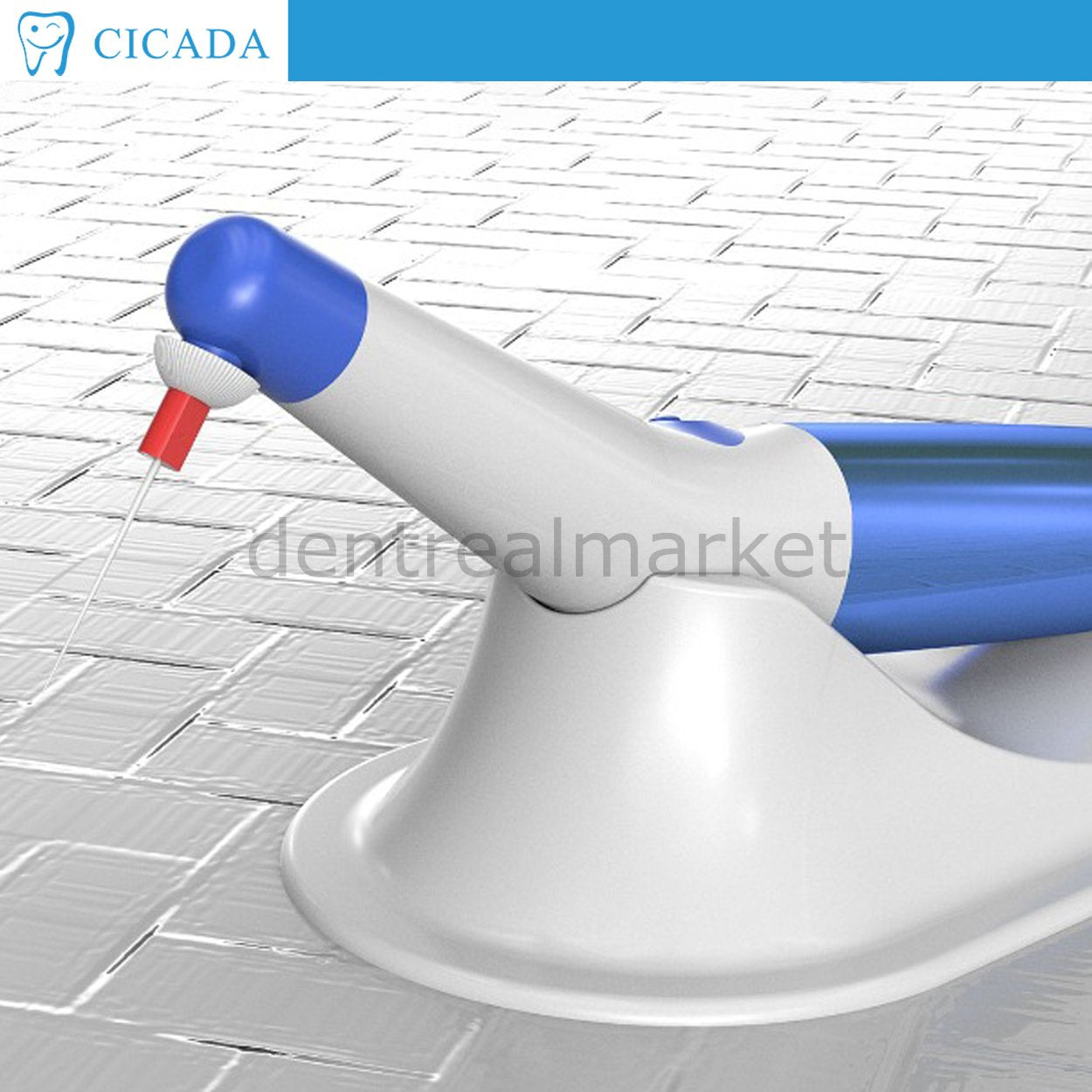 Ciceda Endo Activator