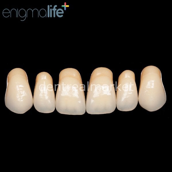 Schottlander Enigmalife+ Nano Hybrid Composite Upper Anterior Teeth Set of 6