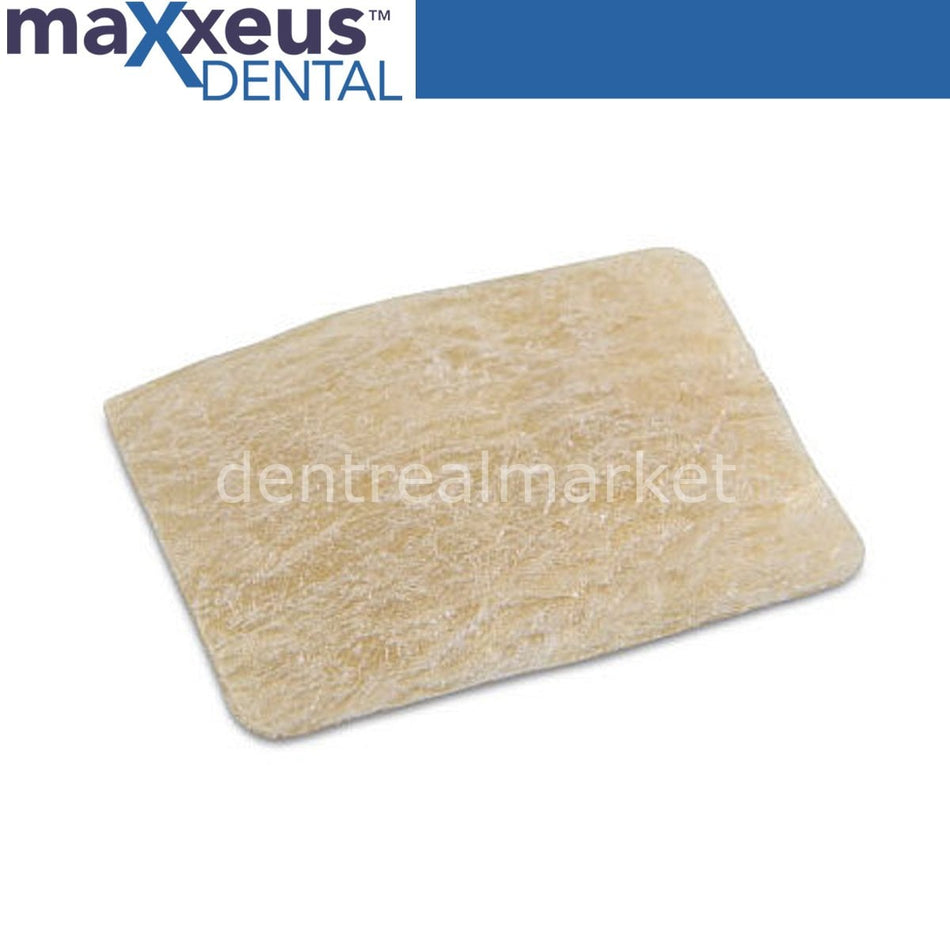 Maxxeus Fascia Membrane — 30×40 mm