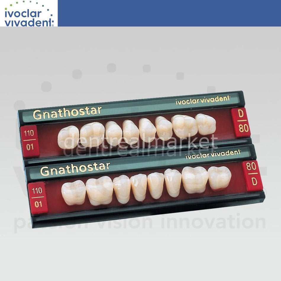 Ivoclar Vivadent Gnathostar Posterior Teeth — Set of 8