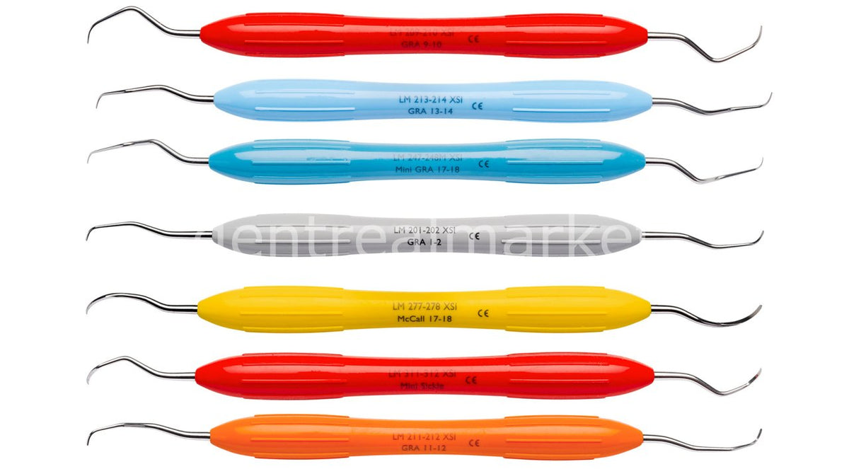 LM Instruments ErgoMax PerioSet Gracey Curette Set 2