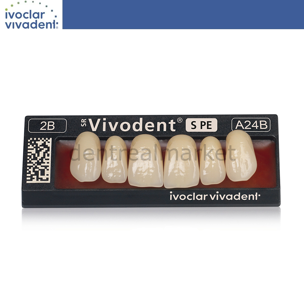 Ivoclar Vivadent SR Vivodent S PE IsoSit Composite Upper Anterior Teeth 6-pack