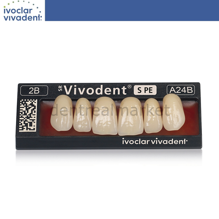 Ivoclar Vivadent SR Vivodent S PE IsoSit Composite Upper Anterior Teeth 6-pack