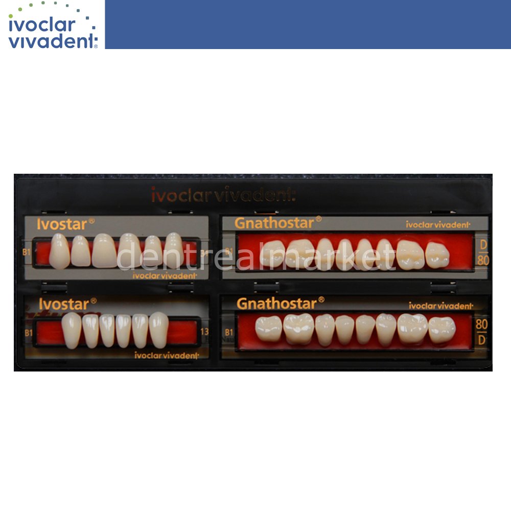 Ivoclar Vivadent Ivostar Gnathostar Acrylic Denture Teeth Set 28 pcs