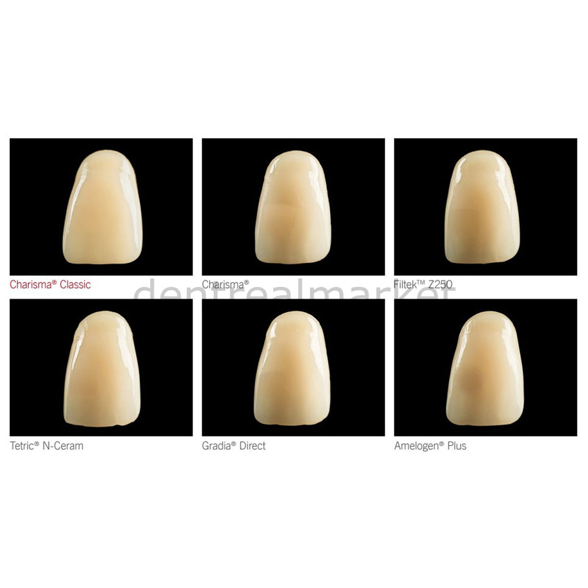 Kulzer Charisma Classic Universal Composite Set 8x4 g & Universal Bond