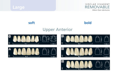 Ivoclar Vivadent Ivostar 3-Layer Acrylic Upper Anterior Teeth Set of 6