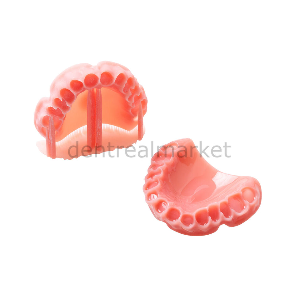 Dentona Optiprint Laviva — Denture Base 3D Printer Resin — 1000 g
