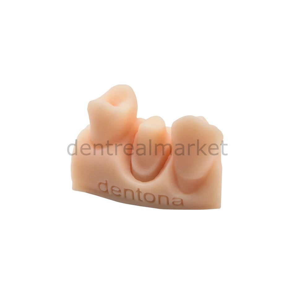 Dentona Optiprint Model — Dental Model 3D Printer Resin — 1000 g