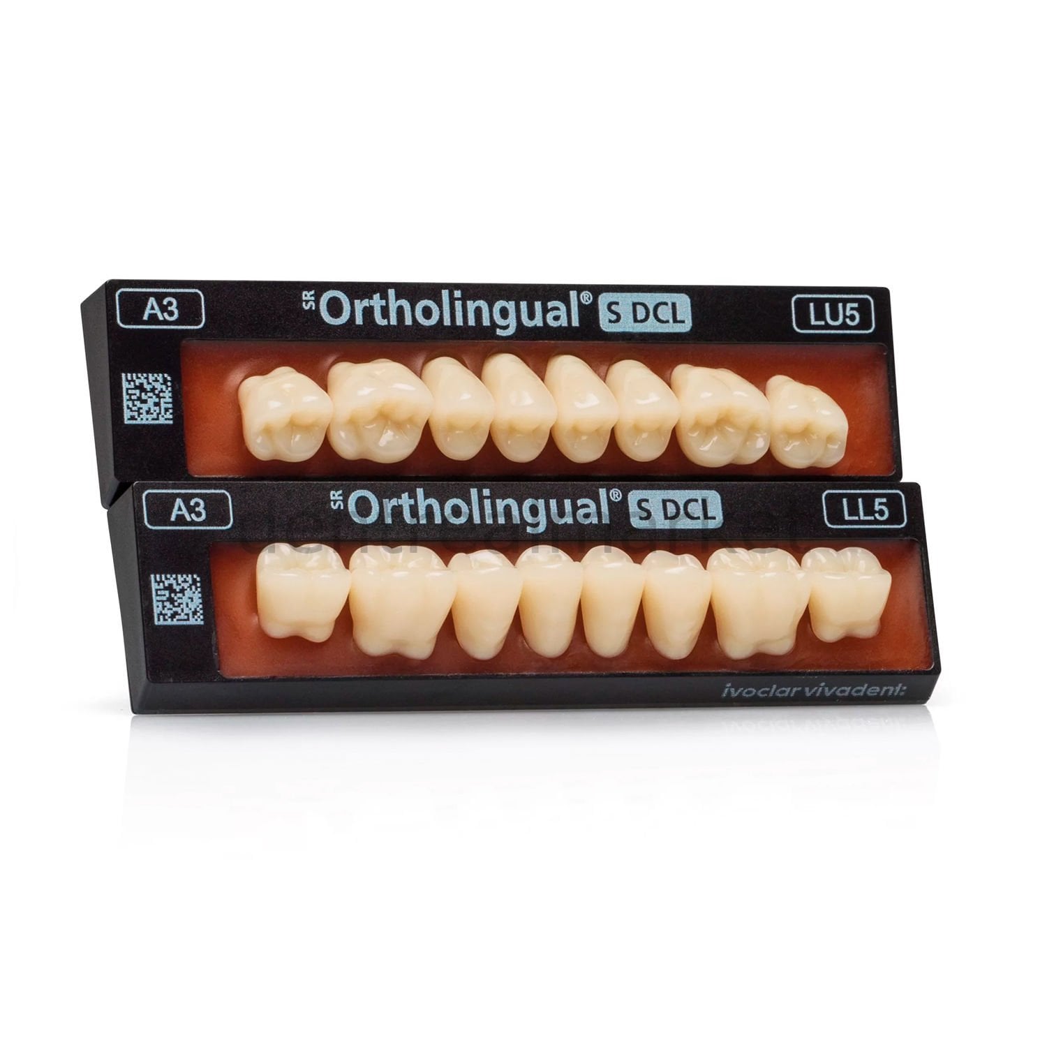 Ivoclar Vivadent SR Ortholingual S DCL Upper Posterior Teeth 8-pack