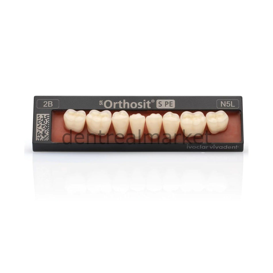 Ivoclar Vivadent SR Orthosit S PE Lower Posterior Teeth Set of 8