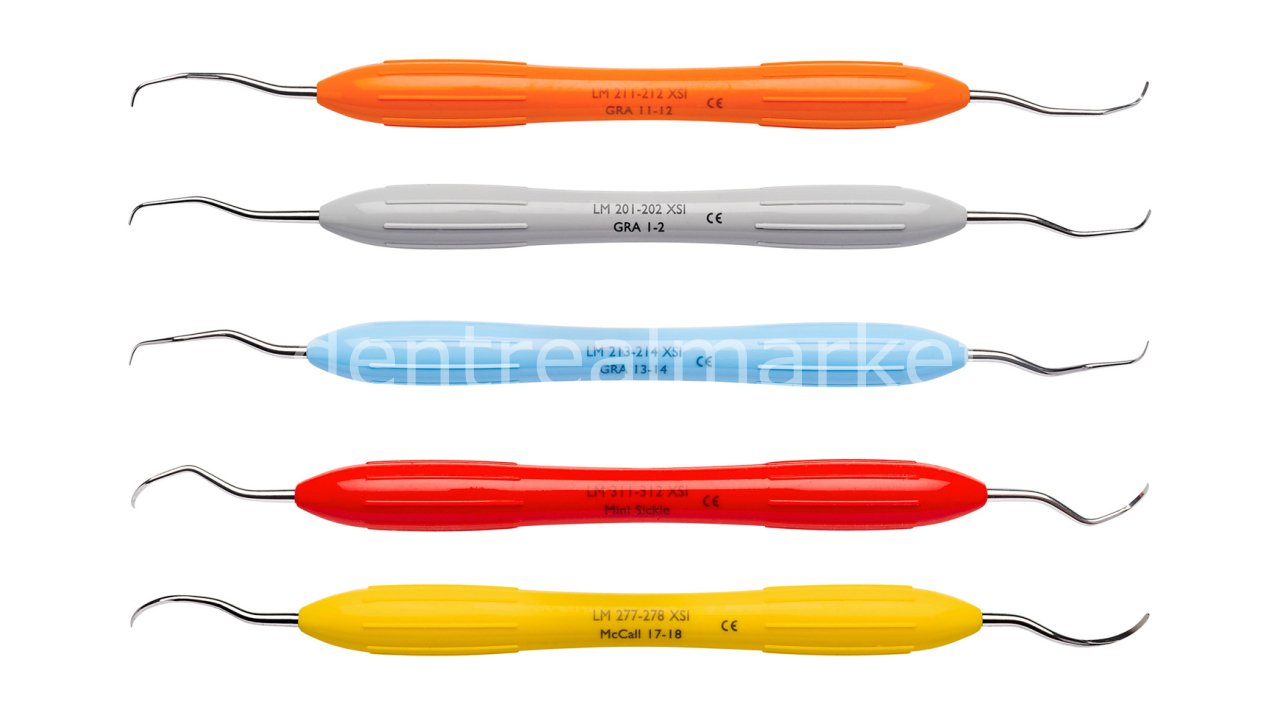 LM Instruments ErgoMax PerioSet Gracey Curette Set 1