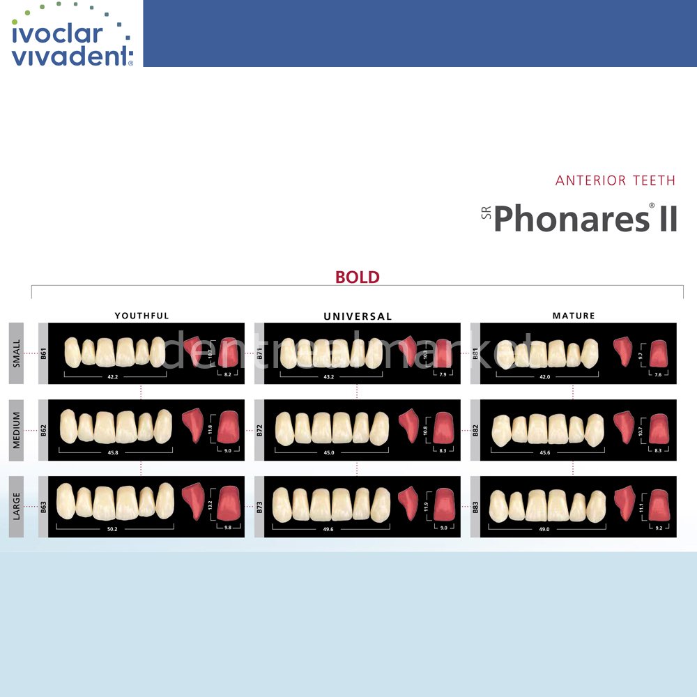 Ivoclar Vivadent SR Phonares II Denture Teeth Set — Nano-Hybrid Composite, 28 pcs