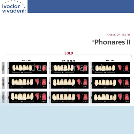 Ivoclar Vivadent SR Phonares II Denture Teeth Set — Nano-Hybrid Composite, 28 pcs