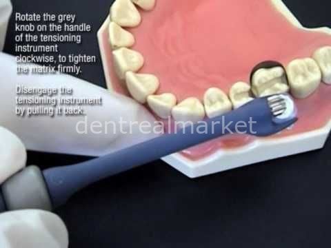 Polydentia Maximat Plus Kit