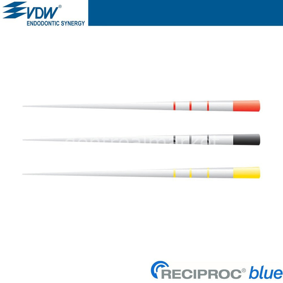 VDW Reciproc Blue Paper Point