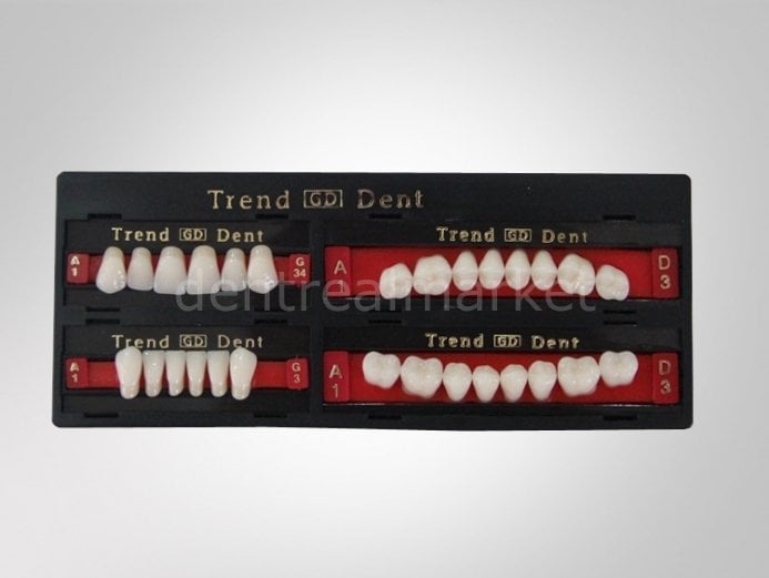 Polident Trend Gd Acrylic Denture Teeth Set of 28