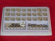 TDV Dental B-Crown Polycarbonate Strip Crown Set — 120 pcs