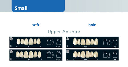 Ivoclar Vivadent Ivostar 3-Layer Acrylic Upper Anterior Teeth Set of 6