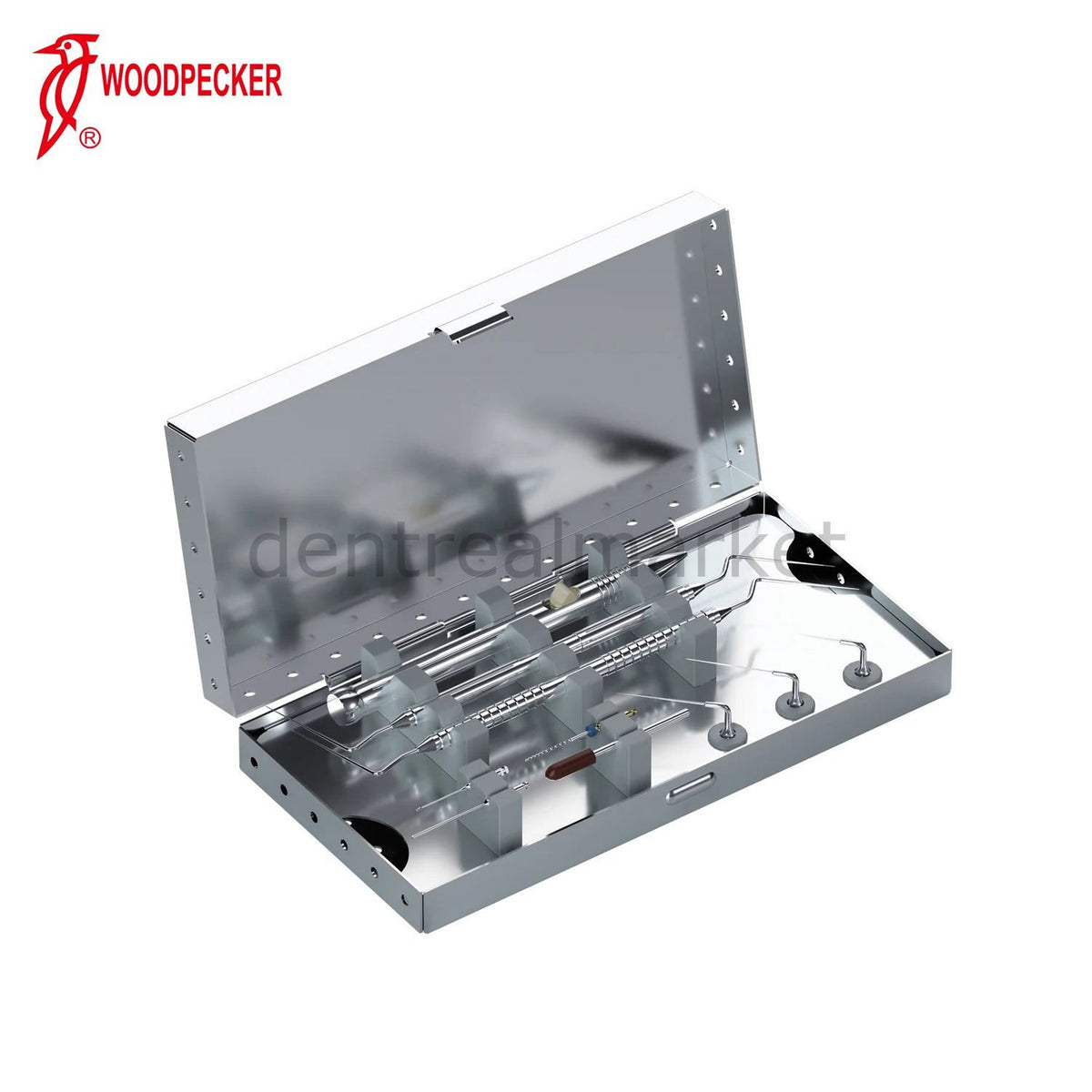 Woodpecker Terauchi File TFRK Broken Endodontic File Removal Kit