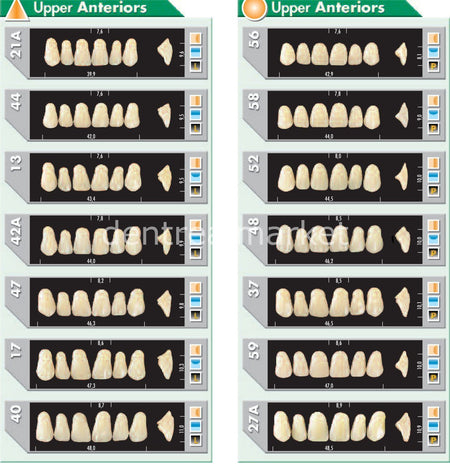 Major Plus Acrylic Teeth Full Set of 28