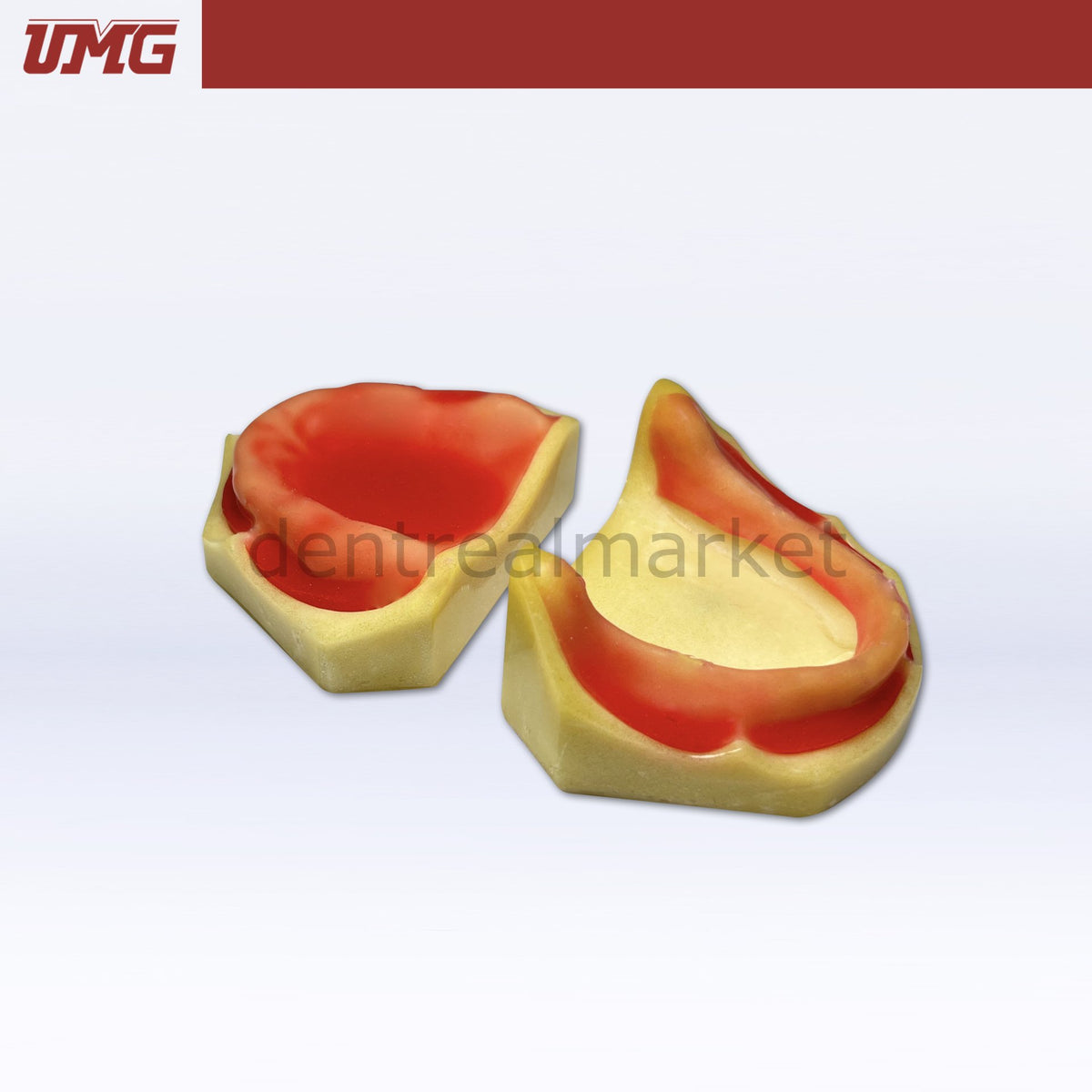 UMG Model Implant Training Model Upper and Lower Set — UM-Z16