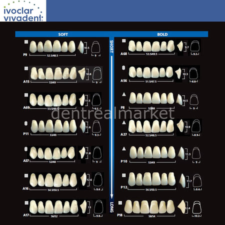 Ivoclar Vivadent SR Vivodent DCL Upper Anterior Teeth — Set of 6