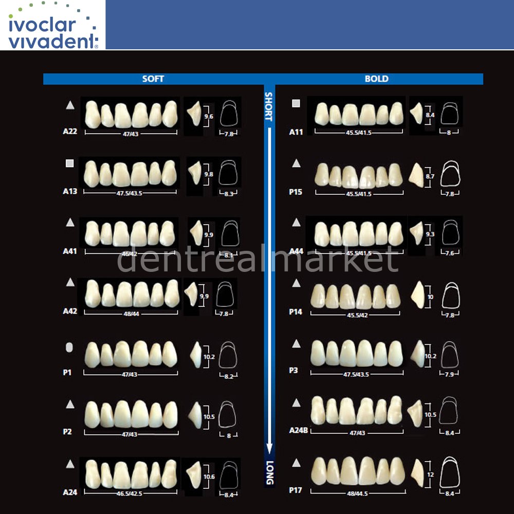 Ivoclar Vivadent SR Vivodent DCL Upper Anterior Teeth — Set of 6