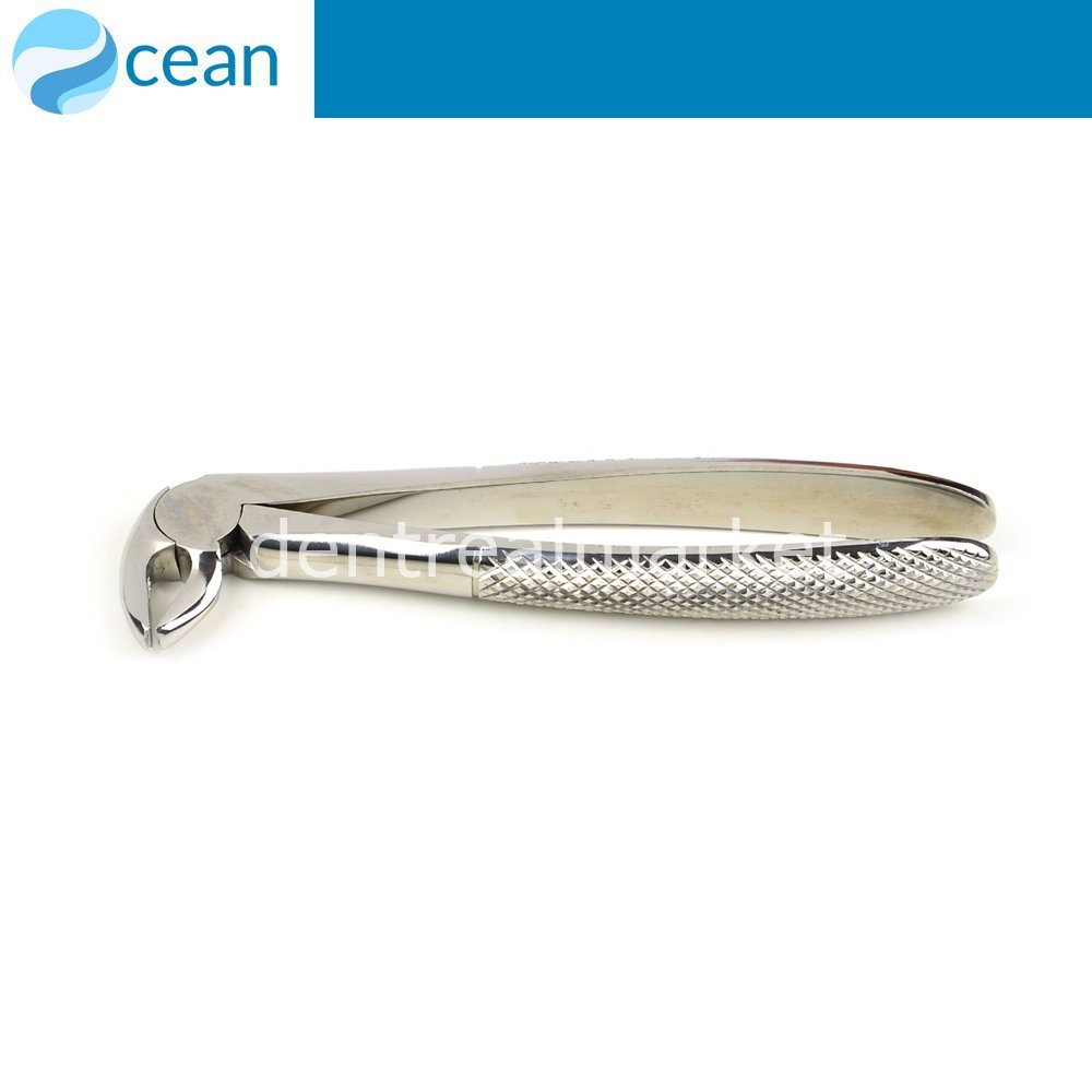 Ocean Adult Extraction Forceps #13 — Lower Incisors and Premolars