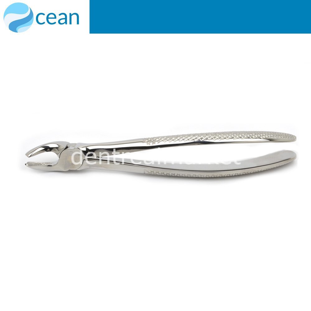 Ocean Adult Forceps #17 — Upper Right Molars