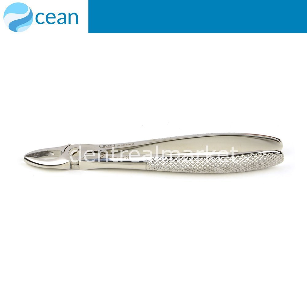 Ocean Adult Forceps #2 — Upper Anterior Incisors