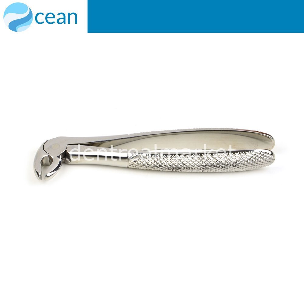 Ocean Adult Elevator #22 Lower Molars